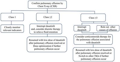 Adverse reactions after treatment with dasatinib in chronic myeloid leukemia: Characteristics, potential mechanisms, and clinical management strategies